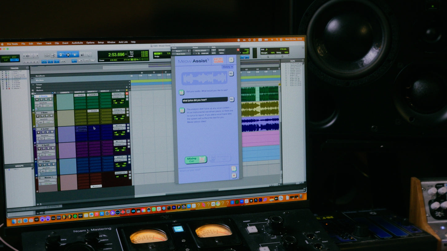 Meaw : Assist - Your new AI cat friend