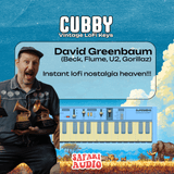 Cubby - Dreamy LoFi Keys - Safari Audio