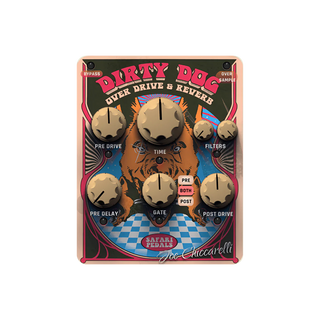 Dirty Dog Reverb - Wild Reverb & Drive w/Joe Chiccarelli