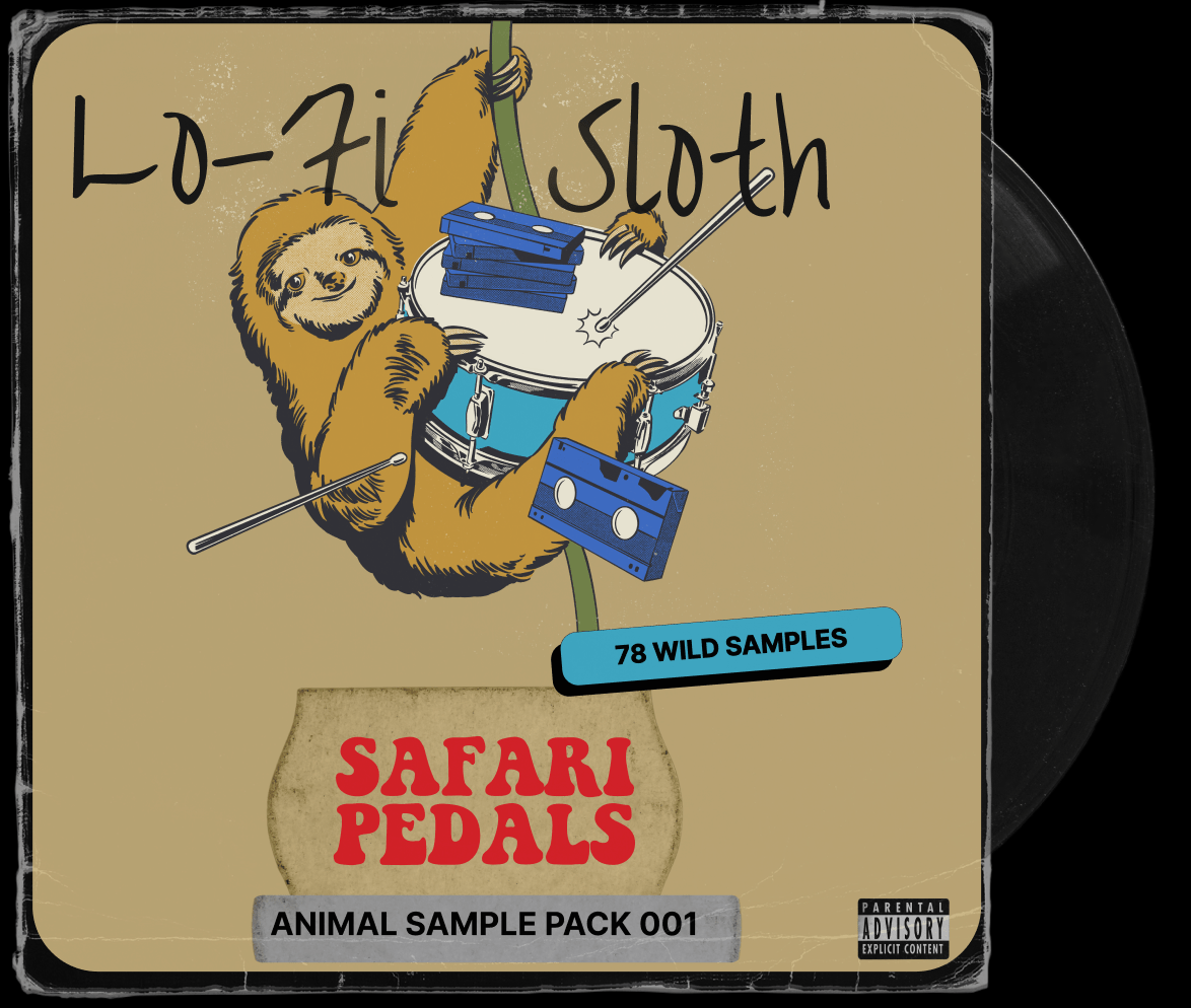 Groovy studio sessions like a sloth with LoFi Sloth | Safari Pedals ...