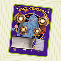Owl Control - 4 smart compressors in one wild plugin - Safari Pedals