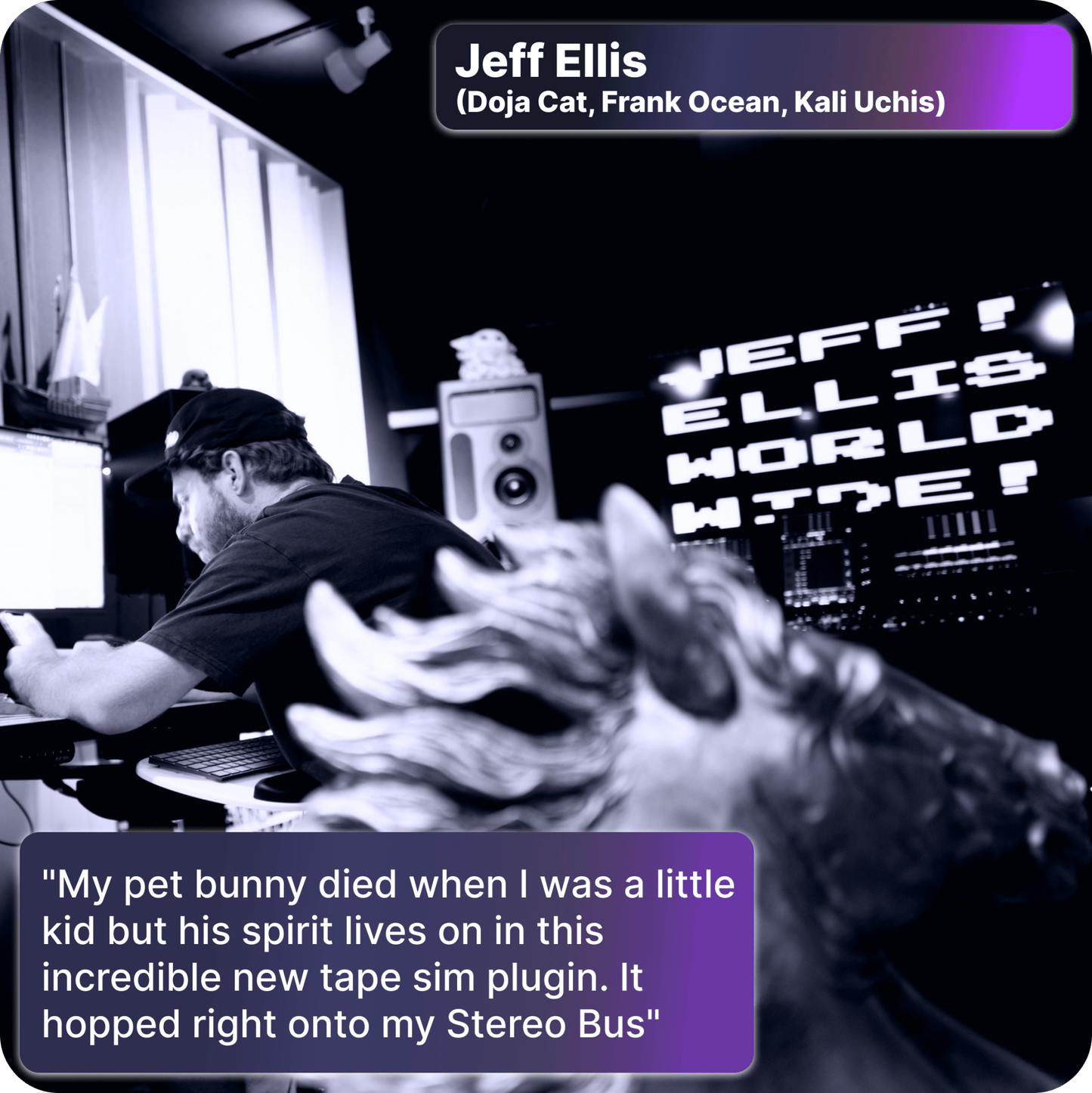 Rabbit Tape - Jungle Warmth Tape Distortion - Safari Pedals